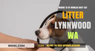 Top Spots to Buy the World's Best Cat Litter in Lynnwood, WA