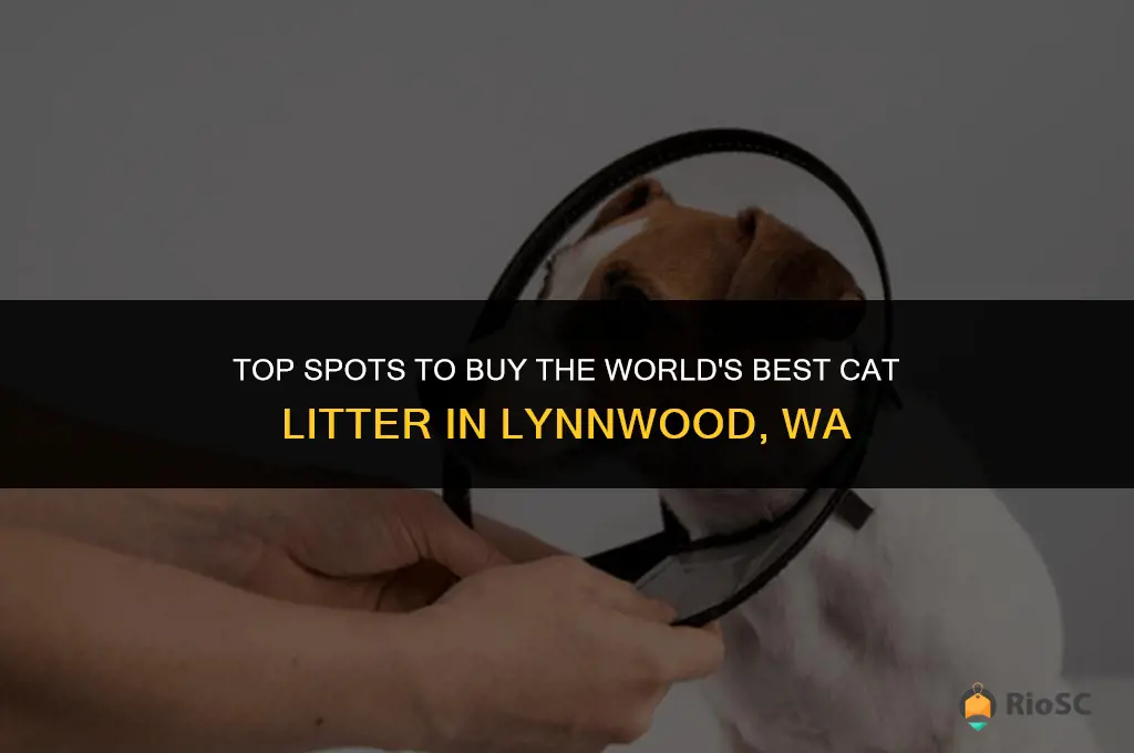 where to by worlds best cat litter lynnwood wa
