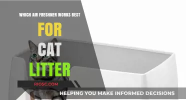 Freshen Up Your Space: The Top Air Fresheners for Cat Litter Odor Control