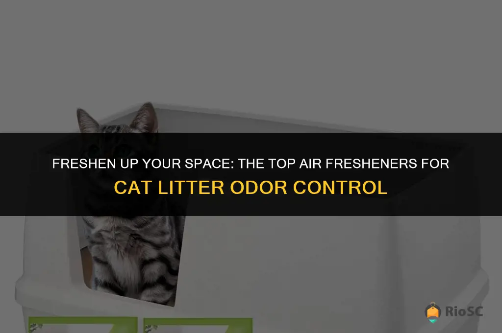 which air freshner works best for cat litter
