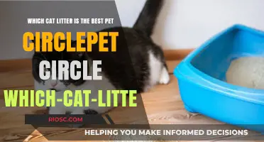 Top Picks for the Best Cat Litter: A Comprehensive Guide for Pet Owners