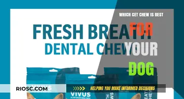 Choosing the Best CET Chew for Your Dog: A Guide to Dental Health and Safety