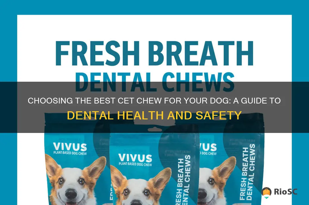 which cet chew is best for your dog