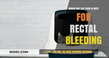 Top Dry Cat Food Options to Help Manage Rectal Bleeding in Cats