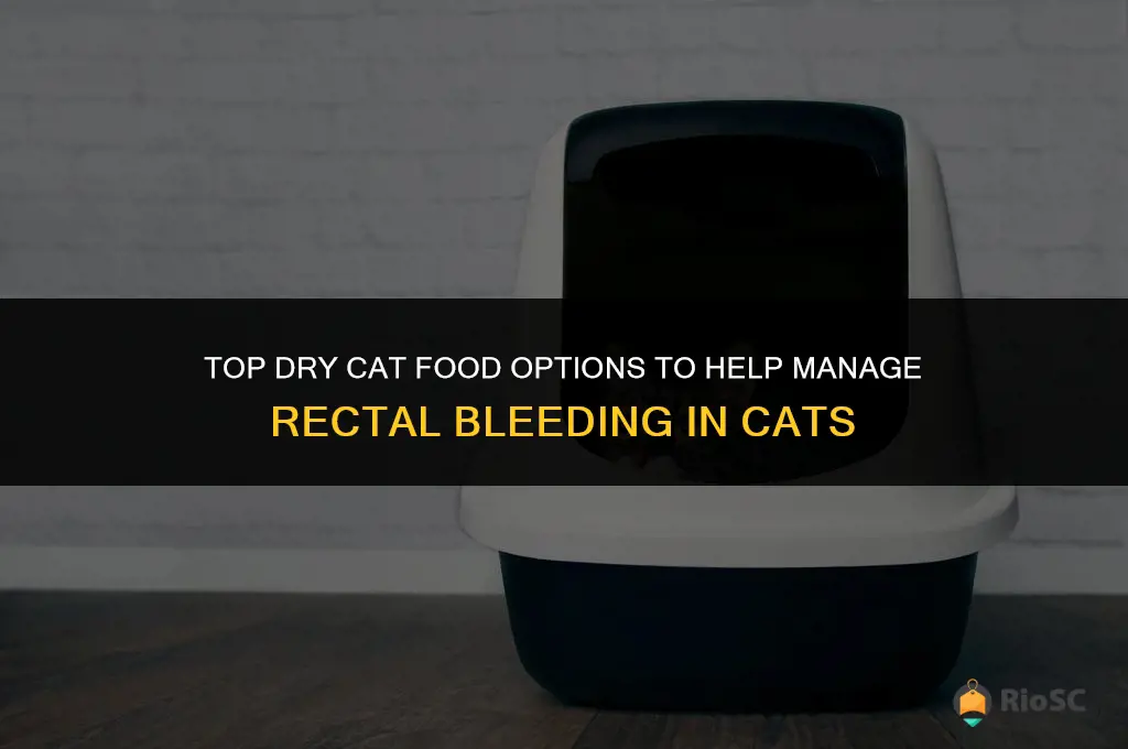which dry cat food is best for rectal bleeding