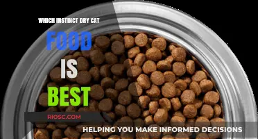 Exploring the Top Instinct Dry Cat Food Options: A Comprehensive Guide for Feline Nutrition