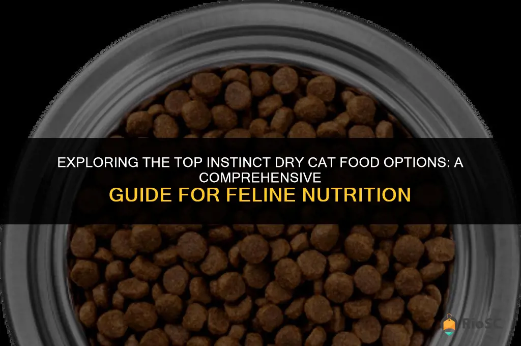 which instinct dry cat food is best