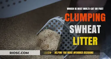 Multi Cat vs. Fast Clumping Swheat Litter: Which Cat Litter Reigns Supreme for Your Feline Friends?