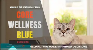 Exploring the Best Dry Cat Food Options: Core Wellness vs. Blue - A Comprehensive Guide for Feline Nutrition
