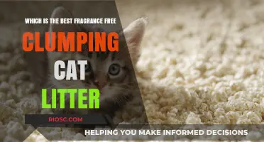 Top Picks for Fragrance-Free Clumping Cat Litter: Finding the Best Option for Your Feline Friend
