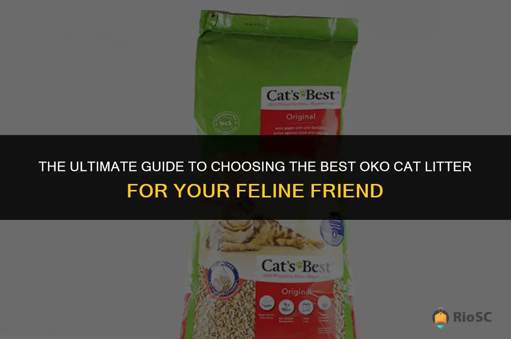 which is the best oko cat litter