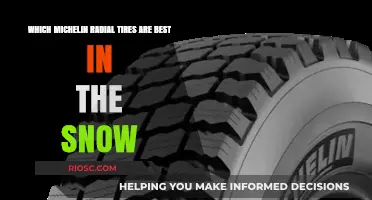 Top Michelin Radial Tires for Superior Snow Performance
