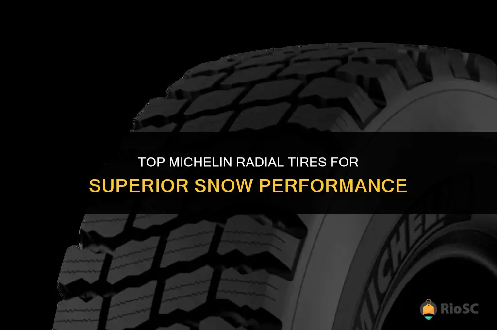 which michelin radial tires are best in the snow