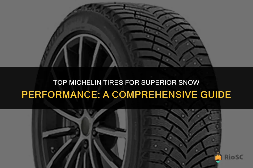 which michelyn tires are best in snow