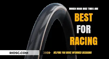 Top Road Bike Tires for Racing: Speed, Grip, and Durability Compared