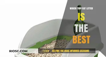 Top Tidy Cat Litter Picks: Finding the Best Option for Your Feline Friend