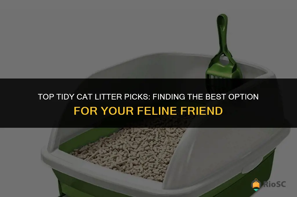 which tidy cat litter is the best