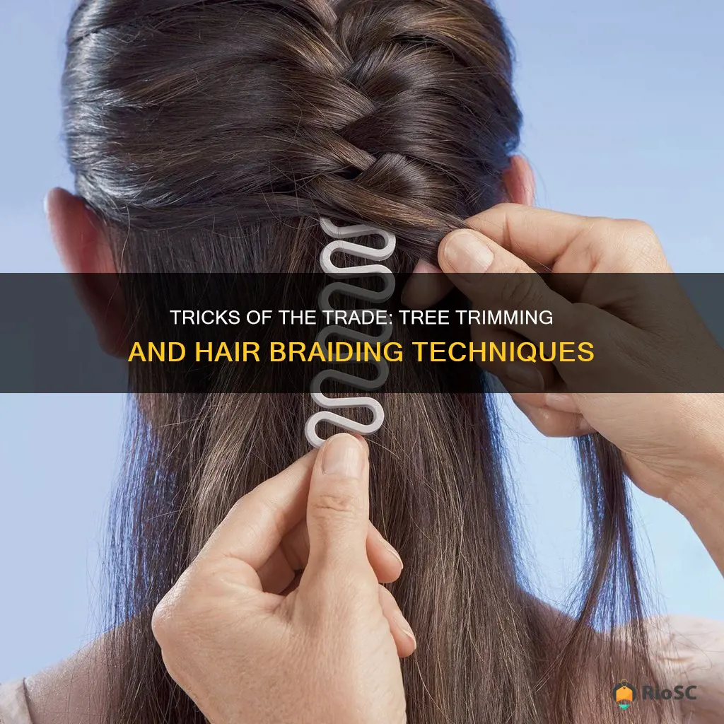 which toll best for tree trimming and braiding hair