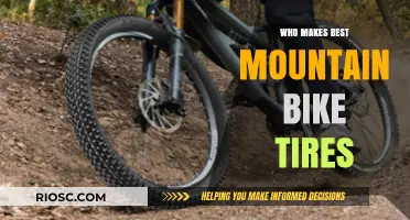 Top Mountain Bike Tire Brands: Who Makes the Best Tires for Your Off-Road Adventures?