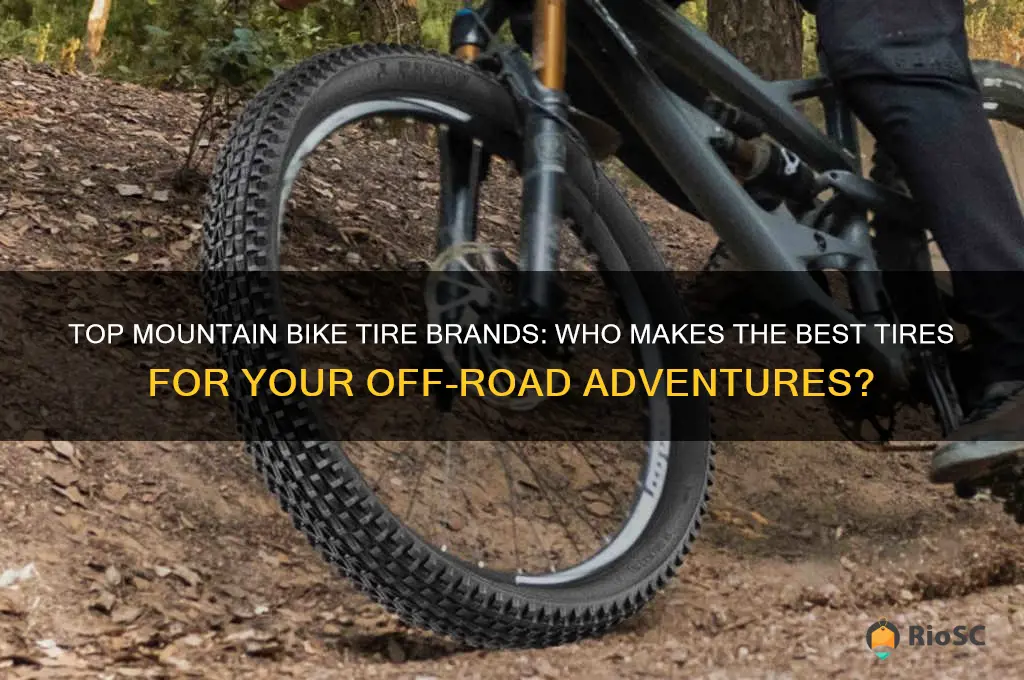 who makes best mountain bike tires