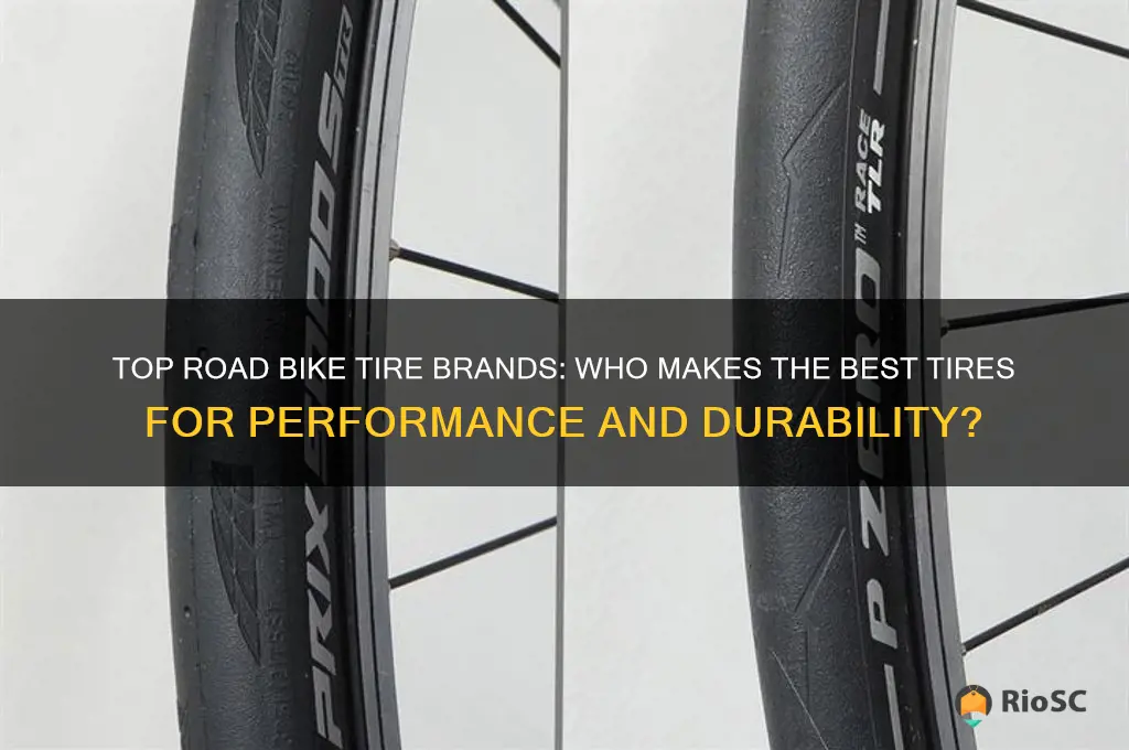 who makes the best road bike tires