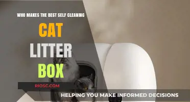 Top Contenders for the Best Self-Cleaning Cat Litter Box: A Comprehensive Review