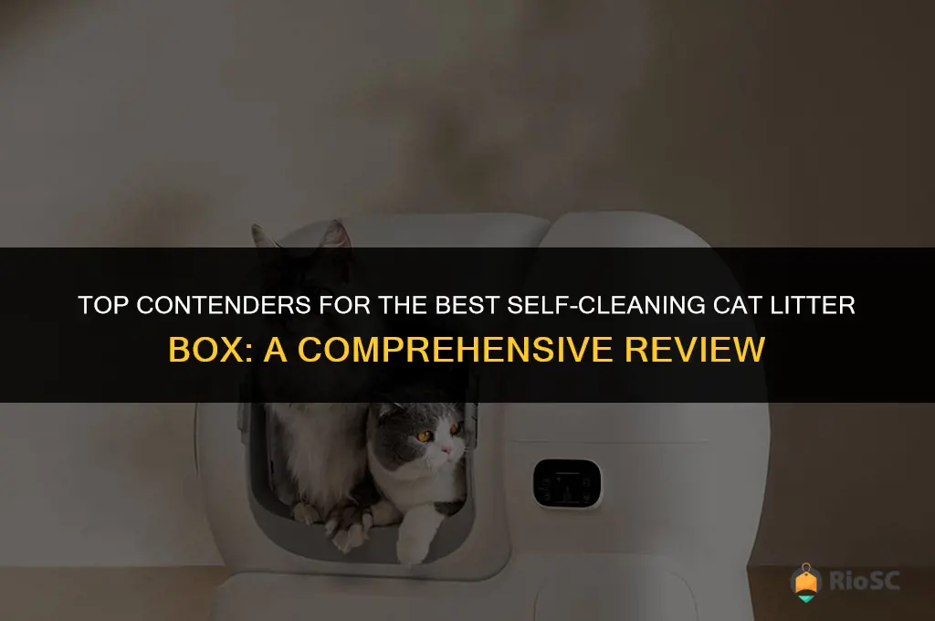 who makes the best self cleaning cat litter box