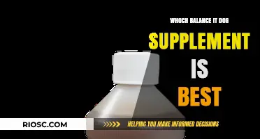 Choosing the Best Balance It Dog Supplement: A Comprehensive Guide to Optimal Canine Nutrition