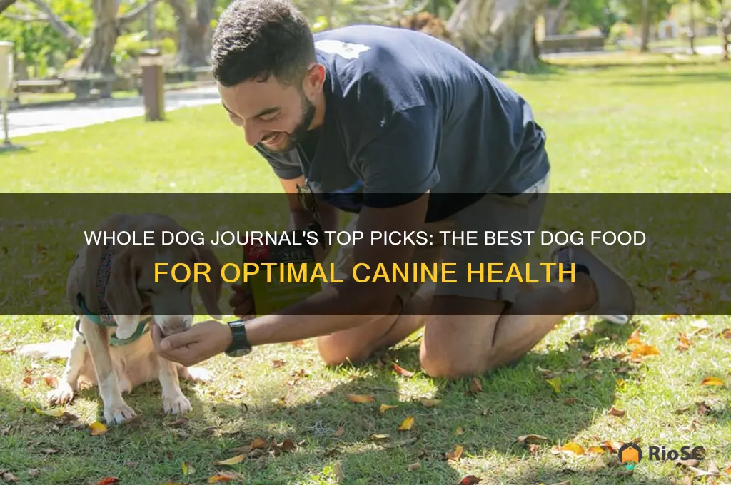 whole dog journal best dog food