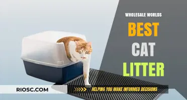Wholesale Worlds Best Cat Litter: Eco-Friendly, Odor-Control, and Cost-Effective Solutions for Pet Businesses