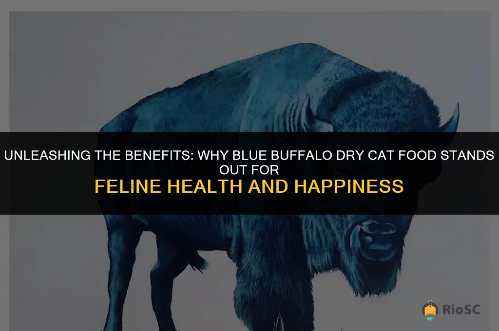 why is blue buffalo dry cat food the best