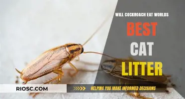 Will Cockroaches Feast on the World's Best Cat Litter? A Surprising Investigation