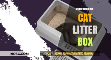 Top Picks for the Best Cat Litter Box: Wirecutter's Expert Recommendations