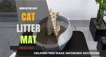 Top Picks for Cat Litter Mats: Wirecutter's Best Recommendations for a Cleaner Home