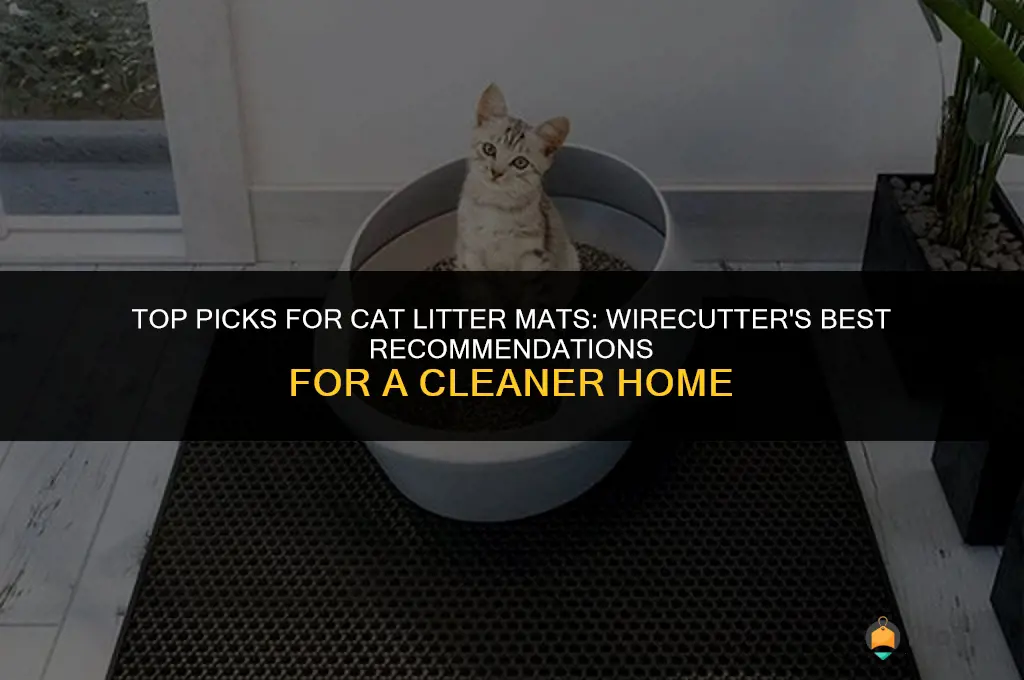 wirecutter best cat litter mat