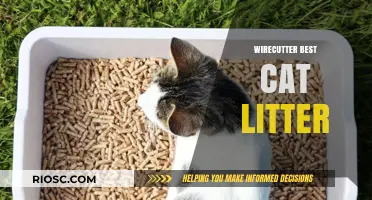 Top Picks for Feline Comfort: Wirecutter’s Best Cat Litter Recommendations