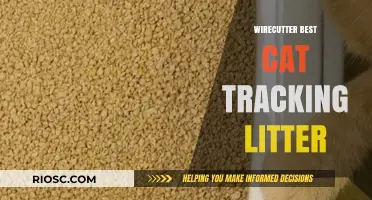 Top Cat Tracking Litter Picks: Wirecutter's Best Recommendations for Clean Floors and Happy Cats