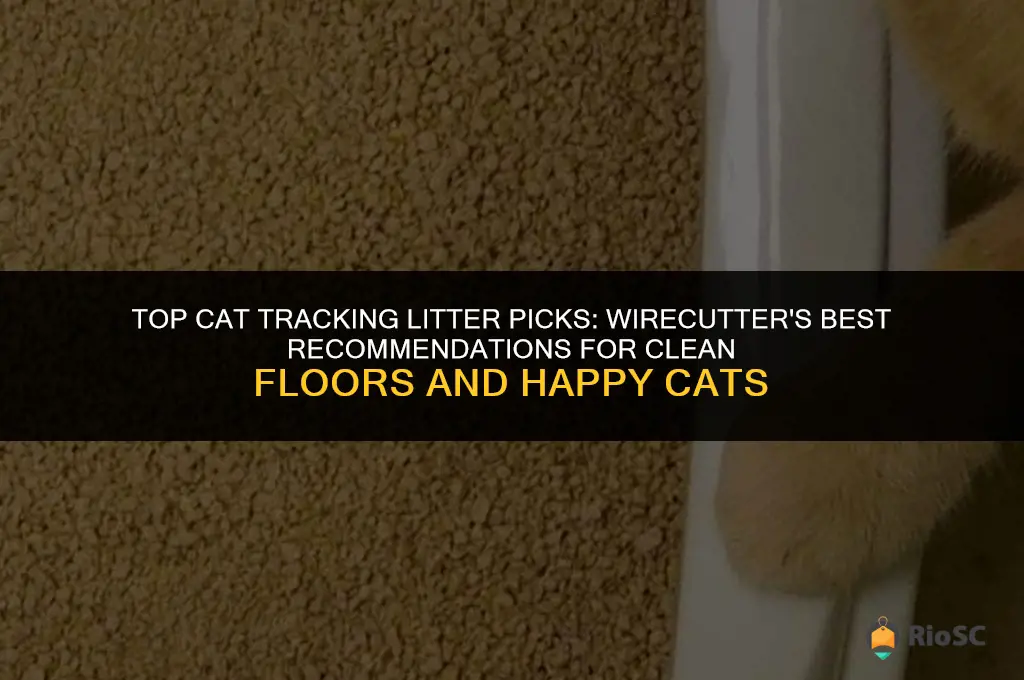 wirecutter best cat tracking litter