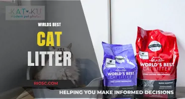 Revolutionary Cat Litter: The World's Best Solution for Odor Control and Easy Cleaning