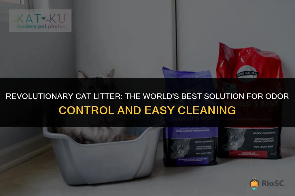 wirlds best cat litter