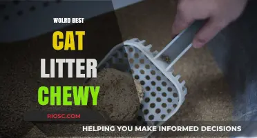 Chewy’s Top Pick: The World’s Best Cat Litter for a Fresh and Clean Home