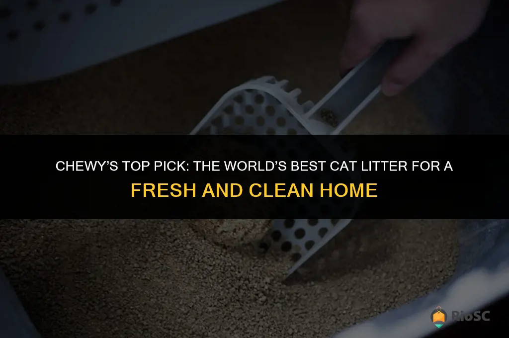 wolrd best cat litter chewy