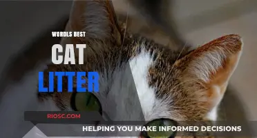 Revolutionize Your Cat Care: Discover the World's Best Cat Litter for Odor Control and Easy Cleaning