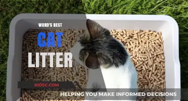 Purr-fectly Clean: Discover the World's Best Cat Litter for Odor Control and Comfort