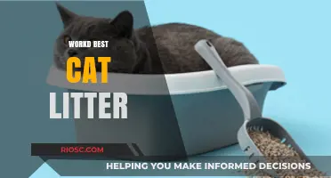 Purr-fectly Clean: Discover the World's Best Cat Litter for Odor Control and Comfort