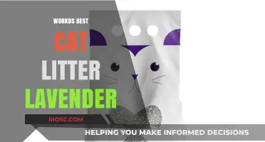 Lavender Bliss: Discover the World's Best Cat Litter for a Fresh and Soothing Home