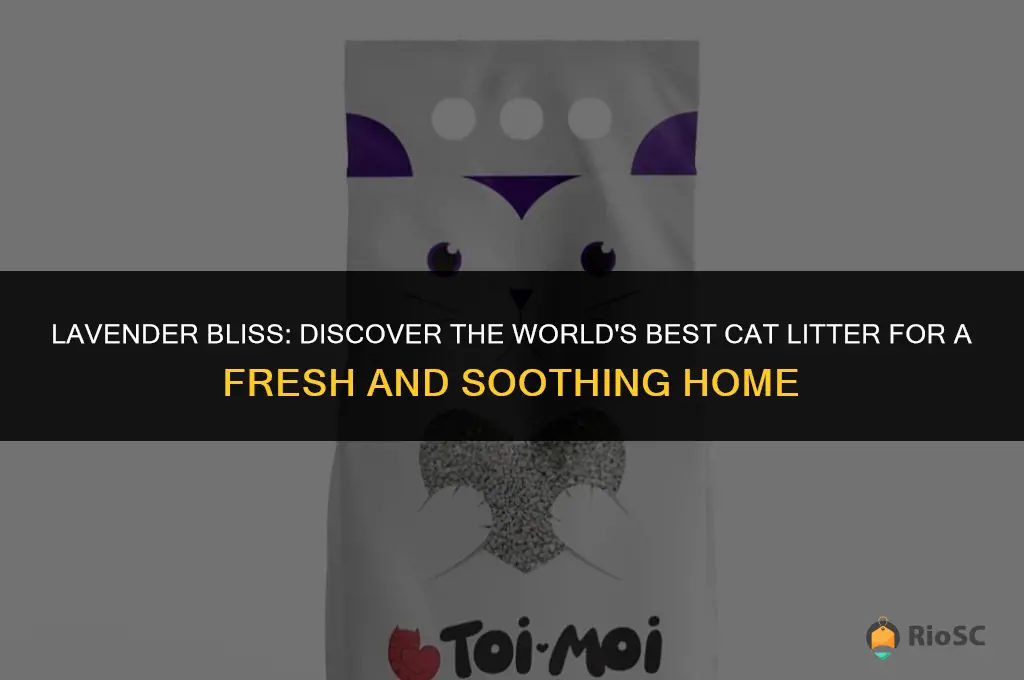 workds best cat litter lavender