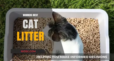 Purr-fectly Clean: Discover the World's Best Cat Litter for Odor Control and Clumping Power