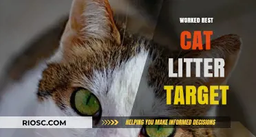 Top-Rated Cat Litter Options That Work Best for Target Shoppers