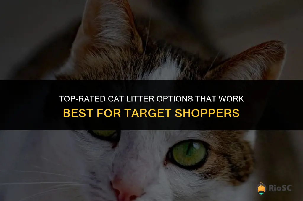 worked best cat litter target